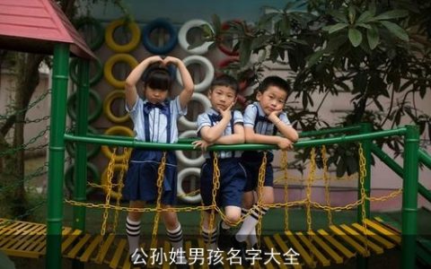 公孙姓男孩名字大全