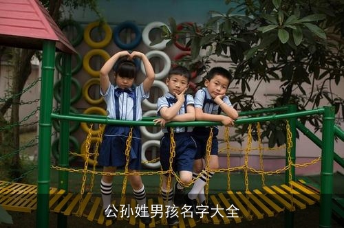 公孙姓男孩名字大全