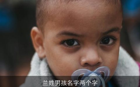 兰姓男孩名字两个字