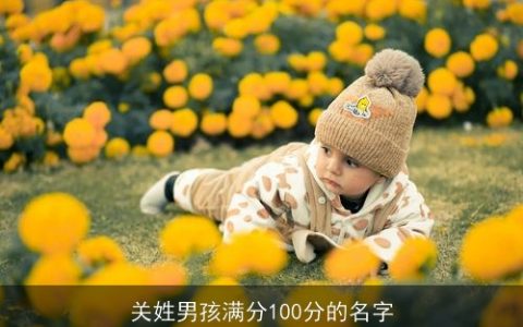 关姓男孩满分100分的名字
