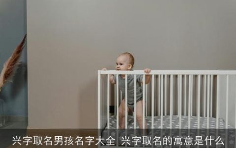 兴字取名男孩名字大全 兴字取名的寓意是什么