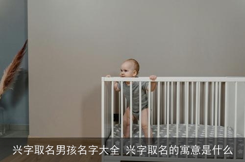 兴字取名男孩名字大全 兴字取名的寓意是什么