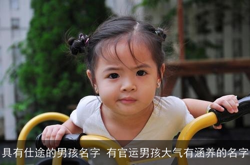 具有仕途的男孩名字 有官运男孩大气有涵养的名字