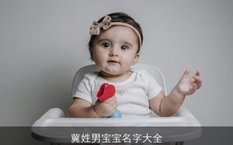 冀姓男宝宝名字大全