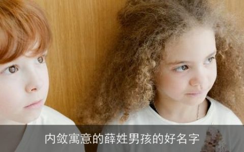 内敛寓意的薛姓男孩的好名字