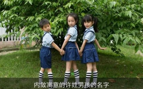 内敛寓意的许姓男孩的名字