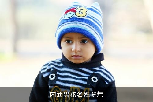 内涵男孩名姓罗炜