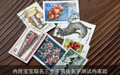 冉姓宝宝取名三个字男孩名字测试冉家歆