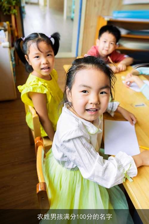农姓男孩满分100分的名字