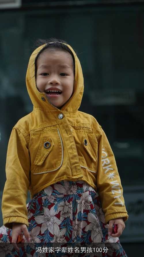 冯姓家字辈姓名男孩100分