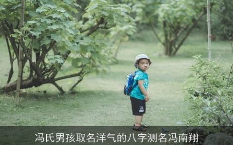 冯氏男孩取名洋气的八字测名冯南翔