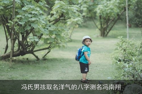 冯氏男孩取名洋气的八字测名冯南翔
