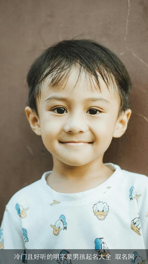 冷门且好听的明字辈男孩起名大全 取名网