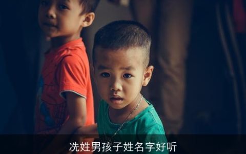 冼姓男孩子姓名字好听
