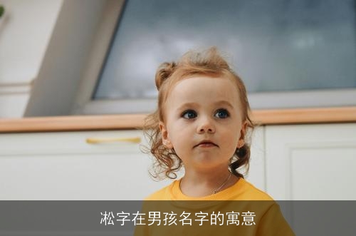 凇字在男孩名字的寓意