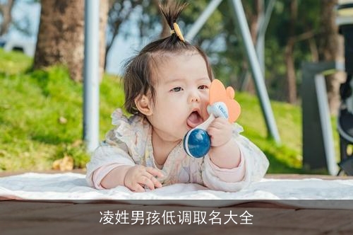 凌姓男孩低调取名大全