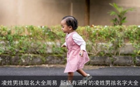 凌姓男孩取名大全周易 新颖有涵养的凌姓男孩名字大全