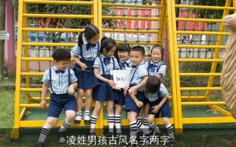 凌姓男孩古风名字两字