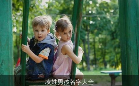 凌姓男孩名字大全