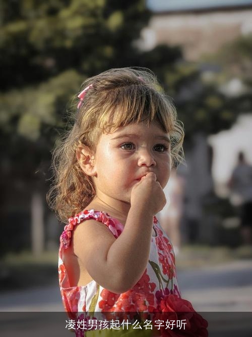 凌姓男孩起什么名字好听