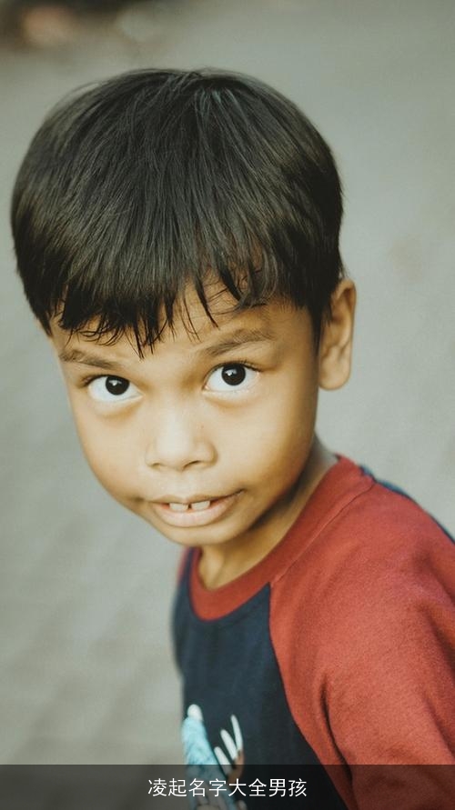 凌起名字大全男孩