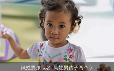 凤姓男孩取名 凤姓男孩子两个字