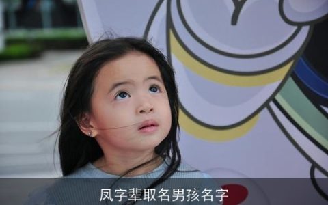 凤字辈取名男孩名字