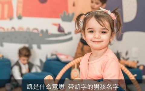 凯是什么意思 带凯字的男孩名字