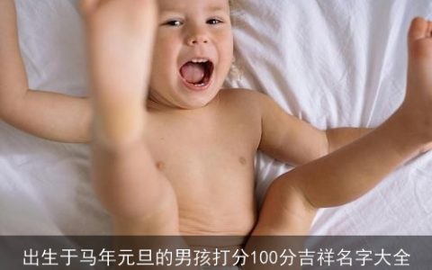 出生于马年元旦的男孩打分100分吉祥名字大全