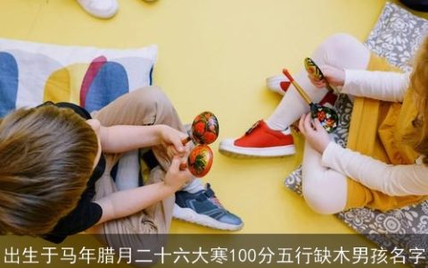 出生于马年腊月二十六大寒100分五行缺木男孩名字