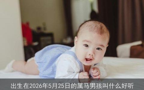 出生在2026年5月25日的属马男孩叫什么好听