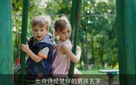 出自诗经楚辞的男孩名字