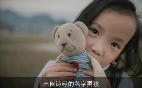 出自诗经的名字男孩