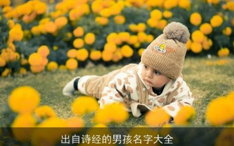出自诗经的男孩名字大全