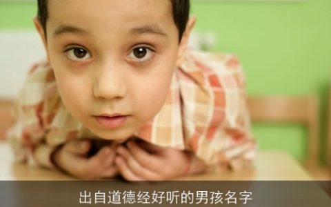 出自道德经好听的男孩名字