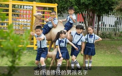 出自道德经的男孩名字