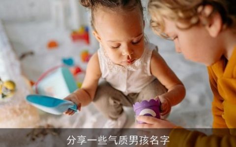 分享一些气质男孩名字