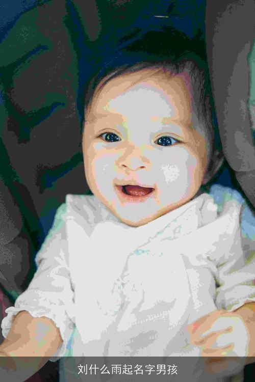 刘什么雨起名字男孩