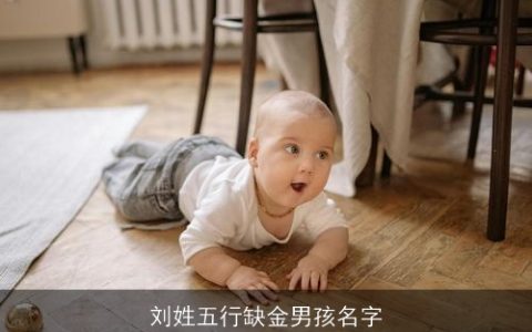 刘姓五行缺金男孩名字
