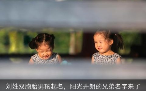 刘姓双胞胎男孩起名，阳光开朗的兄弟名字来了