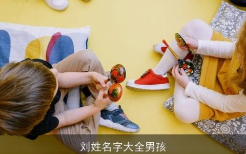 刘姓名字大全男孩