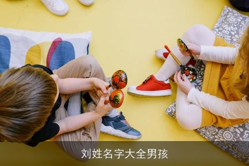 刘姓名字大全男孩