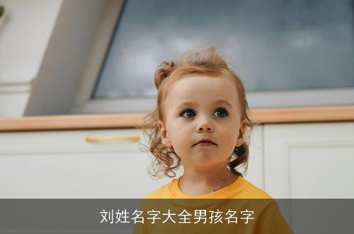 刘姓名字大全男孩名字