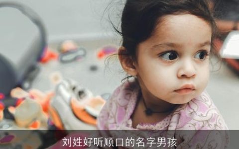 刘姓好听顺口的名字男孩