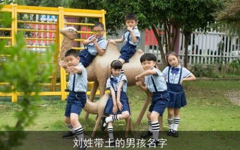 刘姓带土的男孩名字