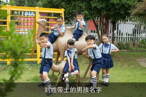 刘姓带土的男孩名字