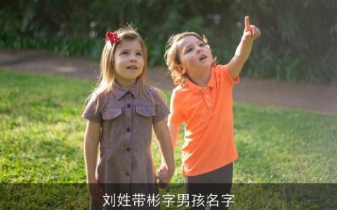 刘姓带彬字男孩名字
