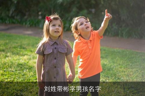 刘姓带彬字男孩名字