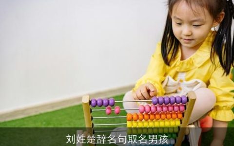 刘姓楚辞名句取名男孩