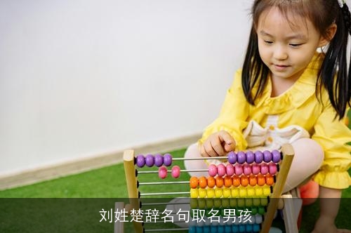 刘姓楚辞名句取名男孩